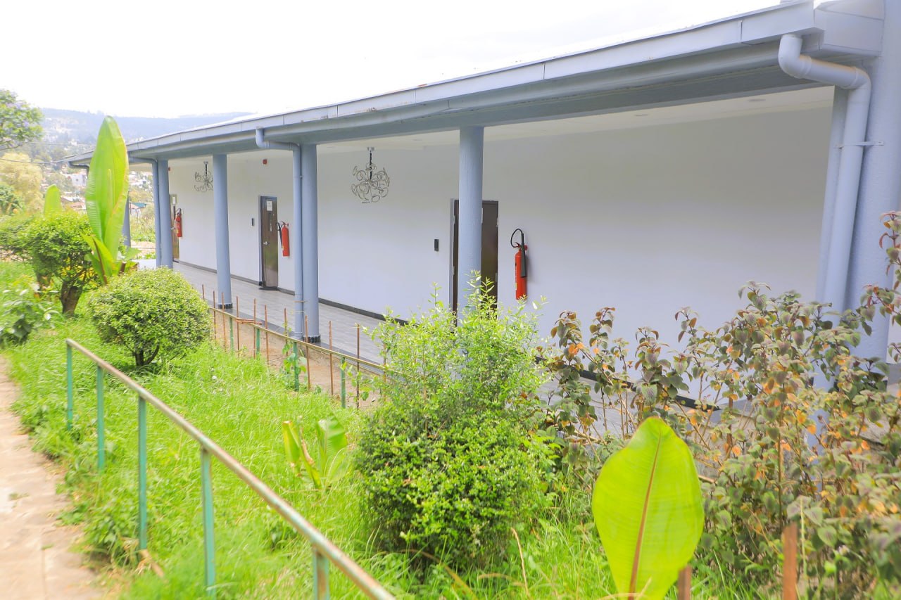 Menelik Smart Area